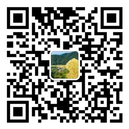 大发welcome购彩大厅网站首页